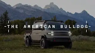 The American Bulldog
