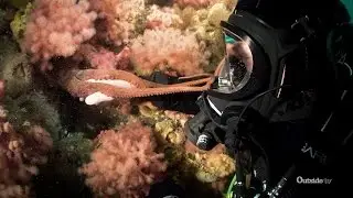 Diving in Canada's Icy Emerald Sea | Descending