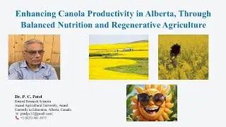 Enhancing Canola Productivity in Alberta, Through Balanced Nutrition and Regenerative Agriculture