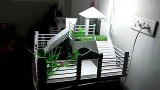 Tortoise house ( square)