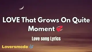 Love That Grows on Quiet Moment 💖 | Official Lyrics | The Beauty of Love in Silence