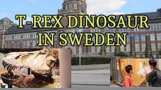Swedish Museum of Dinosaurs and Natural History,Sweden.