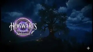 Magical Night Ambience & Piano Music | Old Tree Between Hogwarts & Hogsmeade | 4K HDR 1.5hr Loop-Me