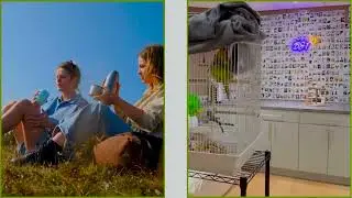 Welcome to Bird Sitting Toronto | New BST Space Tour | Relocated to Mississauga in 2024