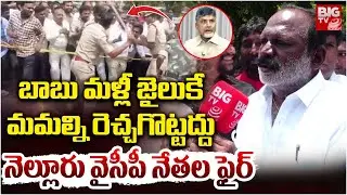 బాబు మ&zwnj;ళ్లీ జైలుకే | Nellore Ycp Leaders Fires on CM Chandrababu | YS Jagan Nellore Tour | BIG TV