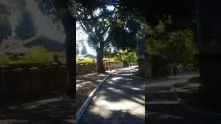 San Mateo park California. Parque de san mateo California