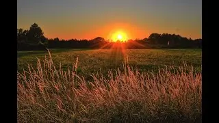 Beautiful Relaxing Music for Stress Relief ~ Calming Music| Piano Music| Nature sunrise |