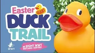 Giant Easter Duck Trail at WWT Wetland Centres