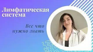 Лимфатическая система. Что мешает ей работать и как ее поддержать.