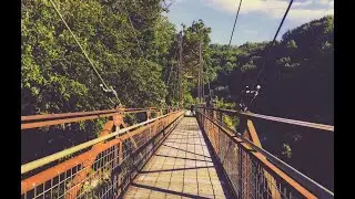 Discover the Beauty of Grist Mill Trail in Ellicott City, Maryland