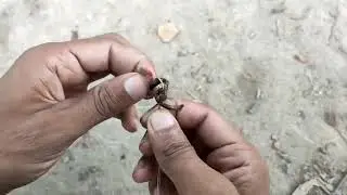 best way to hook a worm for fishing   worm bait hooking trick