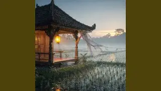 A Warm Morning at Home