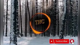 Audiorezout -  Take Me With You [No Copyright]