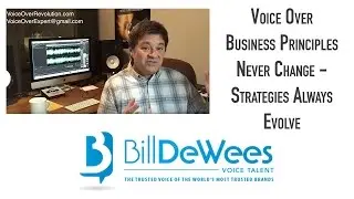 Voice Over Business Principles Never Change - Strategies Always Evolve