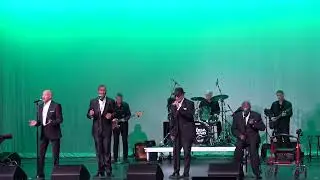 THE DUBS - CHAPEL OF DREAMS