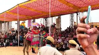Inside Pushkar Mela The World&rsquo;s Most Unique Camel Festival!