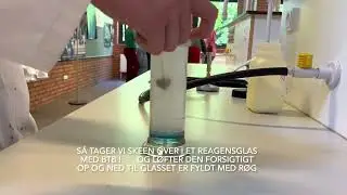 SYREREGN af Astrid,Foli og Lucca