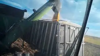 How fast will a brent 1084 grain cart unload??