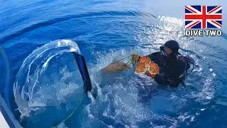 Clear Scallop Reef Dive After 