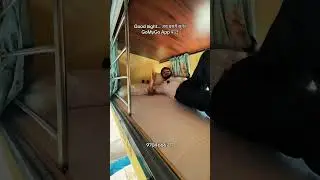 GoMyGo | Intercity Adventure 2&times;1 VIP Sofa Sleeper AC Bus | Kathmandu &ndash; Pokhara | GoMyGo App