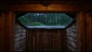 Exploring Nature Through a Wooden Window | Peaceful Forest View