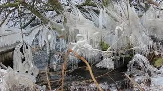 Winterse taferelen in het Twiske -  10 feb 2021