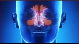 Sinus Exams with Dr. Barrera at Texas Facial Plastic Surgery and ENT