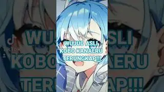 KOBO KANAERU FACE REVEAL IDENTITAS LENGKAP