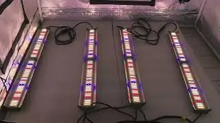 Farmlite grow lite under canopy lights