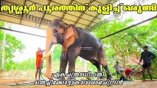 തൃശ്ശൂർ പൂരത്തിന് കുളിച്ച് ഒരുങ്ങി | Thechikkottukavu Ramachandran