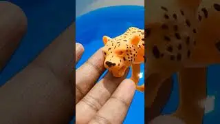Plastic animals toys @mijumuentertainment6303