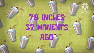 SpongeBob Time Cards Season 47.5