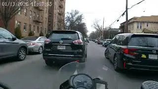 Close call with the local wildlife