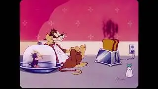 The Stupidstitious Cat (1947) &ndash; Classic Vintage Cartoon Comedy | Full Episode | Wunder Wix