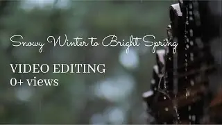 Snowy Winter to Bright Spring | Snowfall | Winter | Video Editing | Made with Mixkit
