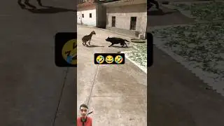 Goat vs Dog😂🐩🤣 #funny #animals #viralshort #ytshorts #youtube