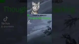 Hey Google PARK MY CAR CORRECTLY PLEASE #skyrimremastered #cat #twitch #skyrim #parking