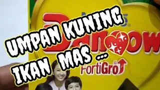 umpan kuning ikan mas waktu siang dan malam