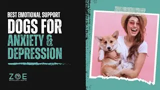 Best Emotional Support Dog Breeds for Anxiety and Depression