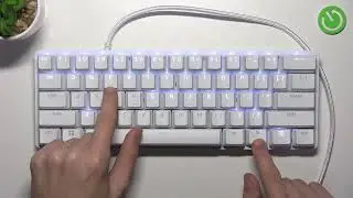 Wie steuere ich die Musik mit der RAZER HUNTSMAN MINI?