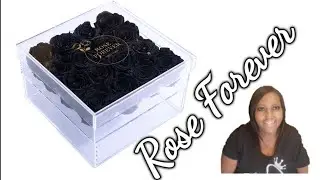 Review Rose Forever New York ~ Black Velvet Preserved Roses w/Acrylic Box ~ Roses That  Last 1 Year