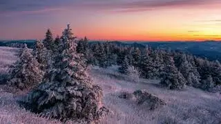 Samuel Gelfer - Frost on the Plow