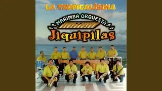 Nunca en Domingo