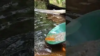 разведка золото #золото #старатели #gold #goldprospector #progold