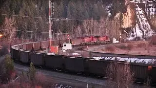 Evening Coal Train On The CP Cranbrook Sub Thru Fort Steele, British Columbia