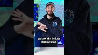 Flow Evolution!