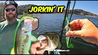 CATCH MORE Fall Bass with ONE LURE!