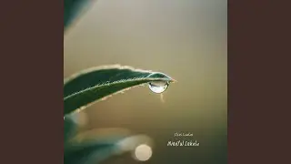 Calmstream