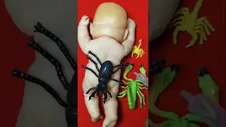 Funny squishy 😁 squishy satisfying #cutesquishy #chuchutoysasmr
