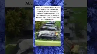El amor que no se va 🐾💔